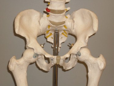 What are the different types of pelvic fracture?
